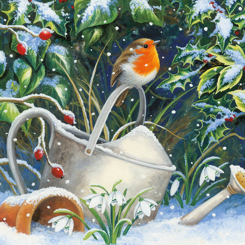 NEW Christmas Cards 'Robin on Watering Can' - Pack of 10 cards with envelopes.