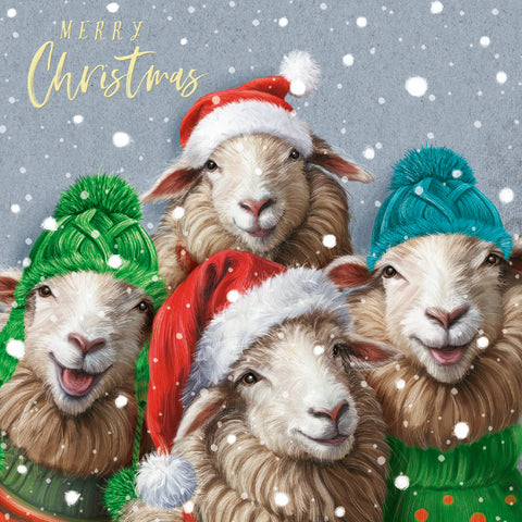 NEW Christmas Cards 'Winter Woollies' - Pack of 10 cards with envelopes.